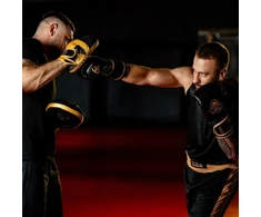Daugiasluoksnės bokso pirštinės – ProFighter Gold – Legacy serija