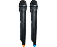 Dėklas Blaupunkt PB06DB Bluetooth karaokės garsiakalbis