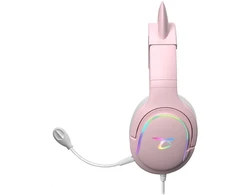 Dėklas Žaidimų ausinės su mikrofonu ir RGB apšvietimu