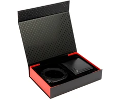 Vyriškas dovanų rinkinys Pierre Cardin ZG-214-BR 115