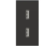 Dvigubas USB lizdas, juodos spalvos, su įkrovimu