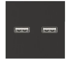 Dvigubas USB lizdas, juodos spalvos, su įkrovimu