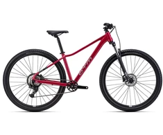 Dviratis CTM Charisma 1.0 29" dydis L