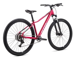 Dviratis CTM Charisma 1.0 29" dydis L