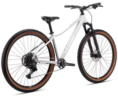 Dviratis CTM Charisma 3.0 29" dydis L