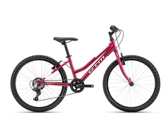 Dviratis CTM Mony 24"