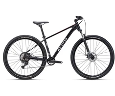 Dviratis CTM Rambler 1.0 29'' dydis XL