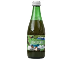 Grandininis pjūklas Ekologiška Kombucha Healthy Sencha, 330 ml – Kombucha by Laurent