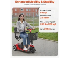VEVOR 3 ratų elektrinis mobilumo motoroleris
