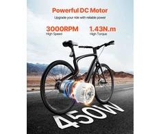 VEVOR 450W elektrinio DC variklio rinkinys su valdikliu