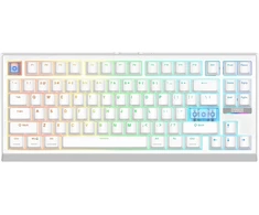 EPOMAKER belaidė žaidimų klaviatūra G84 HE, magnetiniai Hall efektų jungikliai, RGB, QWERTY, 8K Hz, Win/Mac