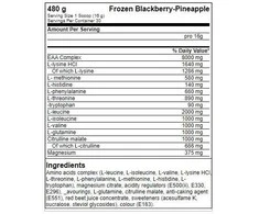 FA Nutrition ICE Hydro Amino - 480 g