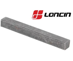 FIKSATORIUS MAGNETINIO DISKO LONCIN G200F, LC1P65FE, LC1P70FA