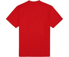 Fila Laas vyriški marškinėliai, raudoni FAM0874 30002