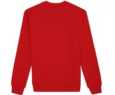 Fila Leverano Standartinio Kirpimo Džemperis Apvalia Apykakle Raudonas FAM0876 30002