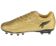 Futbolo bateliai Joma Evolution Jr 2617 FG EVJS2617FG auksiniai, 36 dydis