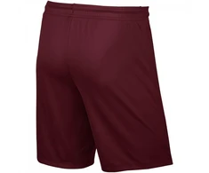 Futbolo šortai Nike Park II Junior 725988-677