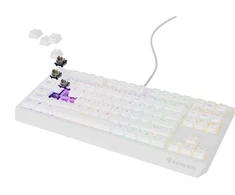 Ausinės GENESIS Thor 230 TKL USB + RF QWERTY klaviatūra