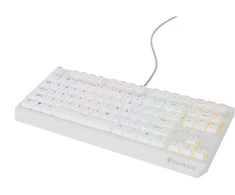 Ausinės GENESIS Thor 230 TKL USB + RF QWERTY klaviatūra