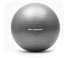 Gimnastikos kamuolys | 75 cm | DBX Bushido