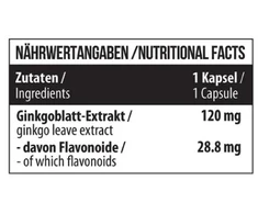 Ginkmedžio lapų ekstrakto kapsulės MST Ginkgo Biloba 60 kapsulių