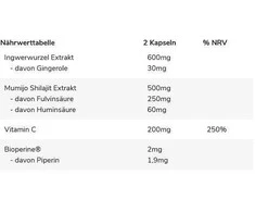 GN Shilajit PRO 60 Kapseln