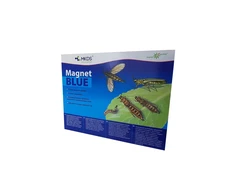 Tripsų, daiginių uodelių gaudyklė MAGNET mėlynas (20x25 cm)