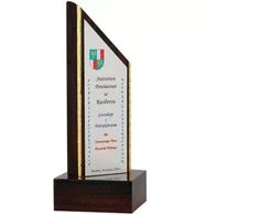 Graviruotas plastiko trofėjus