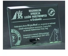Graviruotas stiklinis trofėjus