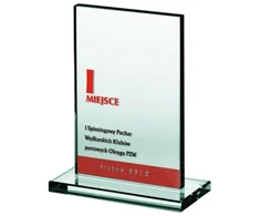 Graviruotas stiklinis trofėjus su dažų užpildu
