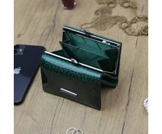 Moteriška piniginė Gregorio PT-117 R