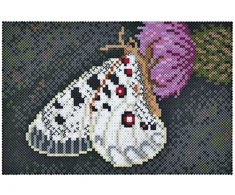 HAMA ART kūrybinis karoliukų rinkinys BUTTERFLY