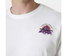 Helly Hansen Core Graphic T 2.0 M marškinėliai 54599 002
