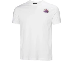 Helly Hansen Core Graphic T 2.0 M marškinėliai 54599 002