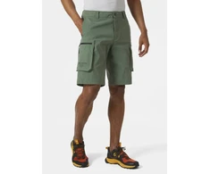 Helly Hansen Move Gd Šortai 2.0 M 53977 476