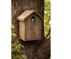 Inkilas zylėms iš polimermedžio su ovalia landa 5 × 3 cm
