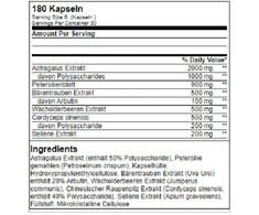Inkstų palaikymo kompleksas GN 180 kapsulių