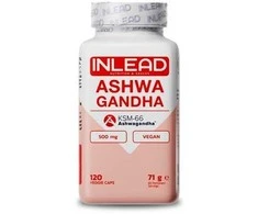 INLEAD Ashwagandha KSM-66 120 Kapseln