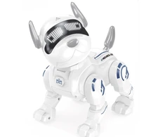 Išmamusis šuo robotas su RC