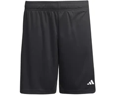 Jaunimo Entrada 26 šortai JZ6531 adidas