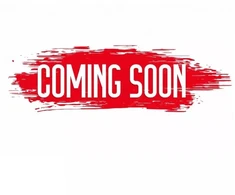 Karl Kani moteriškas batas 89UP Logo Prm PD00002700
