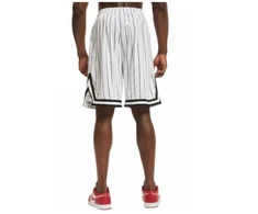 Karl Kani Small Signature Pinstripe Mesh Short M 6014921
