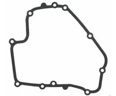 KARTERIO TARPINE BRIGGS&amp;STRATTON DOV 793445