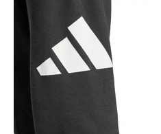 Kelnės Adidas Essentials Big Logo French Terry M IN6163