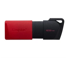 Ausinės KINGSTON Exodia 128GB USB3.2 raudonas