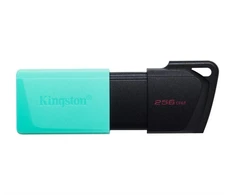 Ausinės KINGSTON Exodia 256GB USB3.2 mėtinės spalvos