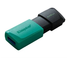 Ausinės KINGSTON Exodia 256GB USB3.2 mėtinės spalvos