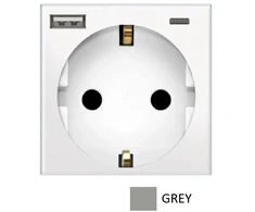 Kištukinis lizdas su USB+type C, pilkas