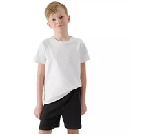 Komplektas 4F M085 Jr 4FJWAW25TAPSM085 20S