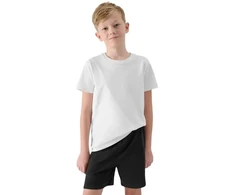 Komplektas 4F M085 Jr 4FJWAW25TAPSM085 20S